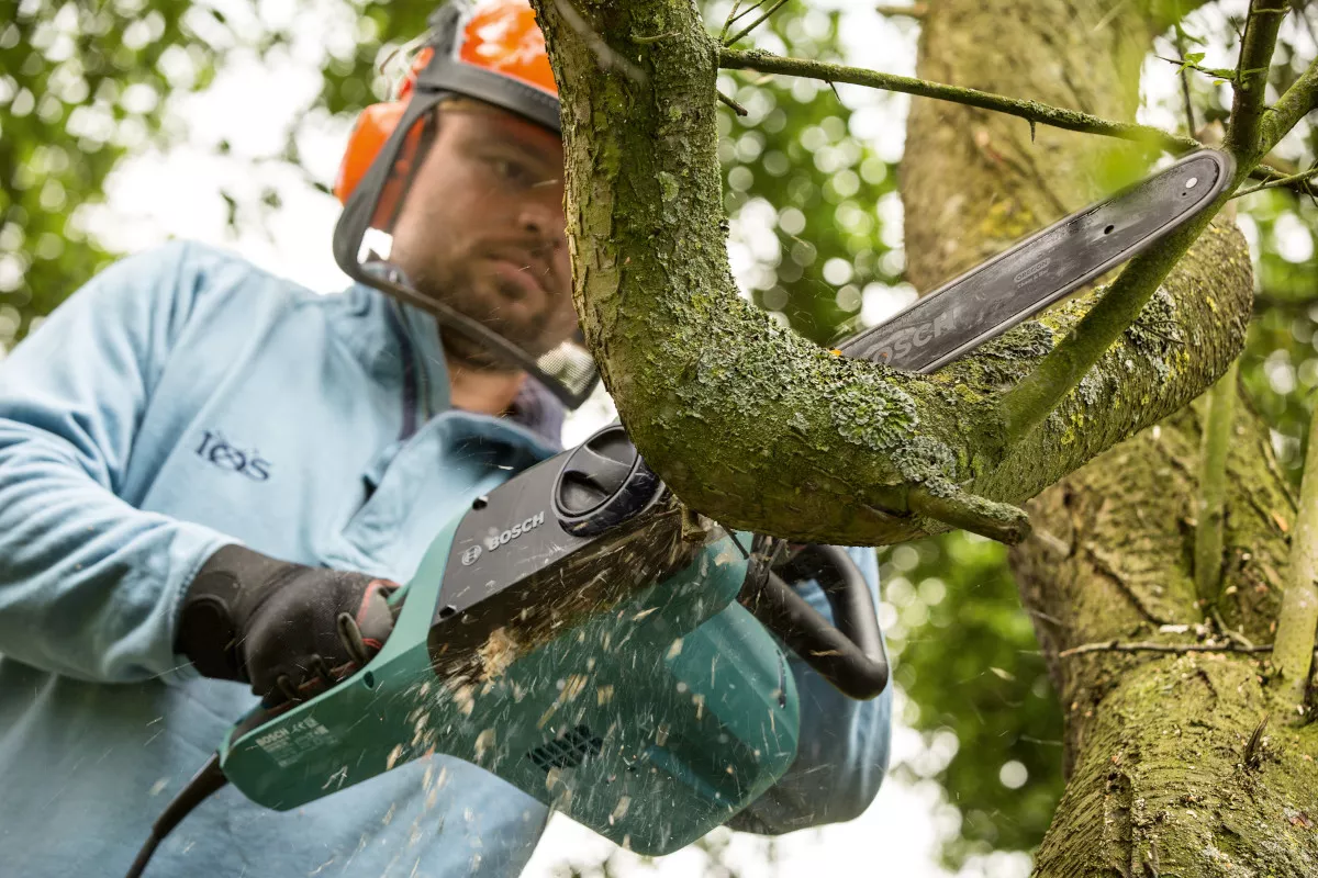 Tronçonneuse UniversalChain 35 Bosch + chaîne supplémentaire